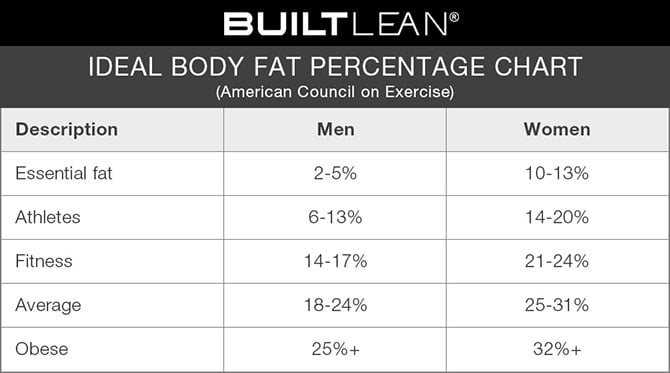 Your Fat Cells Never Disappear — Making Future Weight Gain More