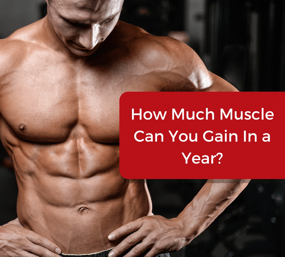 How Much Muscle Can You Gain in a Year?